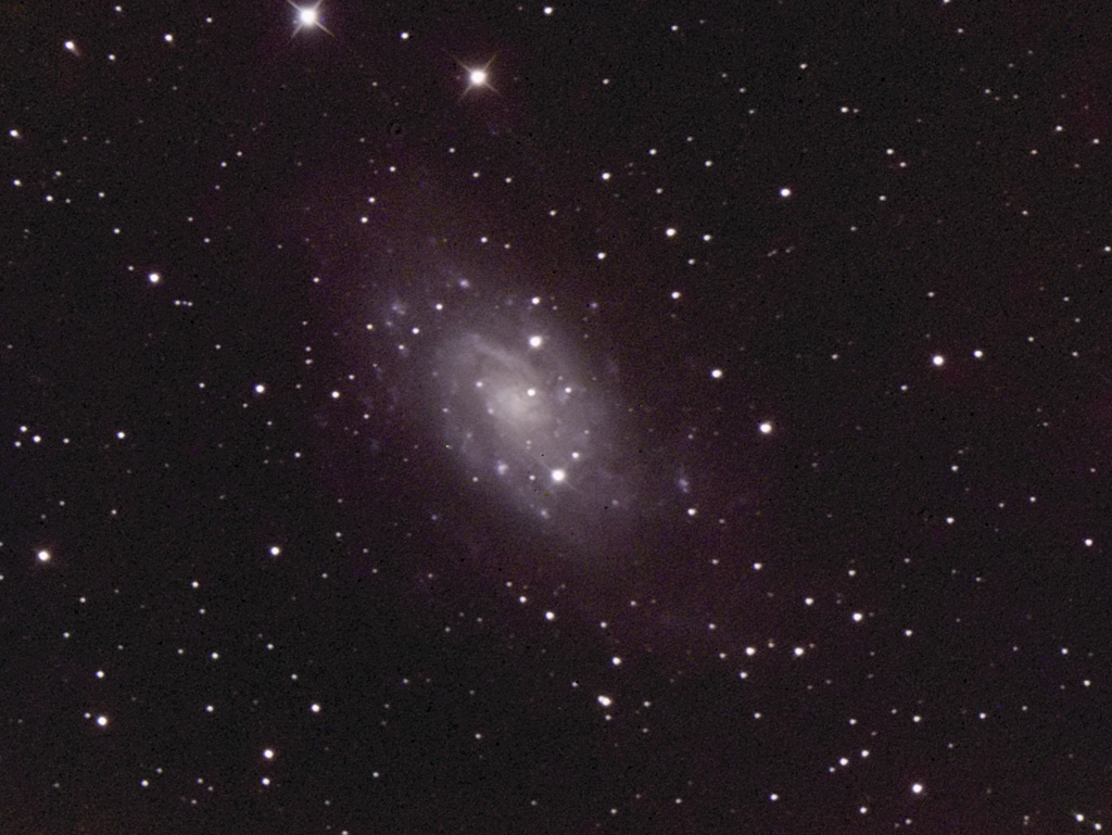 2010-11-27-NGC2403-SC-02-DDP