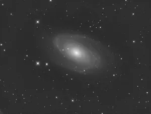 M81